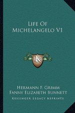 Life of Michelangelo V1