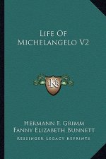 Life of Michelangelo V2