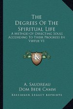 The Degrees of the Spiritual Life: A Method of Directing Souls According to Their Progress in Virtue V1
