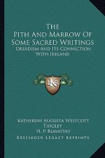 The Pith and Marrow of Some Sacred Writings: Druidism and Its Connection with Ireland