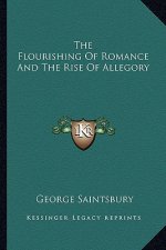 The Flourishing of Romance and the Rise of Allegory