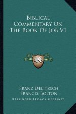 Biblical Commentary on the Book of Job V1