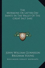 The Mormons or Latter-Day Saints in the Valley of the Great Salt Lake