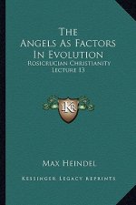 The Angels as Factors in Evolution: Rosicrucian Christianity Lecture 13