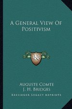 A General View of Positivism