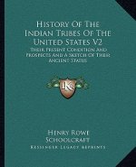 History Of The Indian Tribes Of The United States V2: Their Present Condition And Prospects And A Sketch Of Their Ancient Status