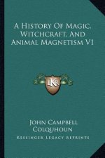 A History Of Magic, Witchcraft, And Animal Magnetism V1