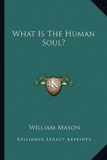 What Is the Human Soul?