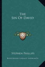 The Sin of David