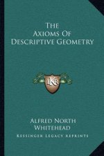 The Axioms of Descriptive Geometry
