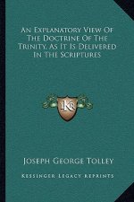 An Explanatory View of the Doctrine of the Trinity, as It Is Delivered in the Scriptures