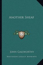 Another Sheaf