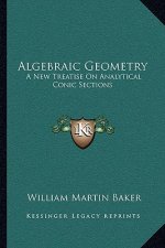 Algebraic Geometry: A New Treatise on Analytical Conic Sections