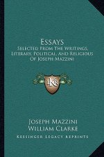 Essays: Selected from the Writings, Literary, Political, and Religious of Joseph Mazzini