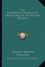 The Barnabys in America or Adventures of the Widow Wedded