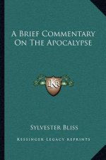 A Brief Commentary on the Apocalypse