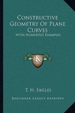 Constructive Geometry of Plane Curves: With Numerous Examples