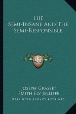 The Semi-Insane and the Semi-Responsible