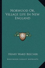 Norwood Or, Village Life in New England