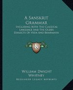 A Sanskrit Grammar: Including Both the Classical Language and the Older Dialects of Veda and Brahmana