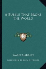 A Bubble That Broke The World
