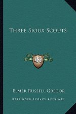 Three Sioux Scouts