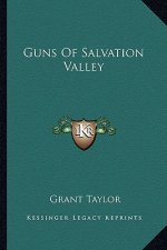Guns of Salvation Valley