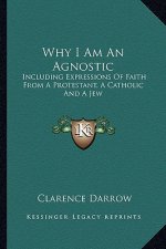 Why I Am an Agnostic: Including Expressions of Faith from a Protestant, a Catholic and a Jew