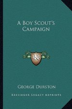 A Boy Scout's Campaign