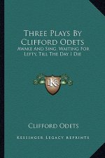 Three Plays by Clifford Odets: Awake and Sing, Waiting for Lefty, Till the Day I Die
