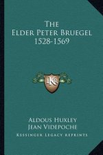 The Elder Peter Bruegel 1528-1569