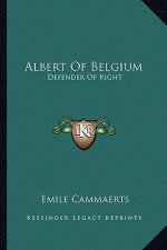 Albert of Belgium: Defender of Right