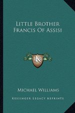 Little Brother Francis of Assisi