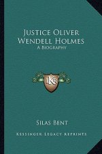 Justice Oliver Wendell Holmes: A Biography