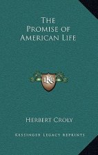 The Promise of American Life