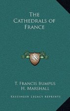 The Cathedrals of France