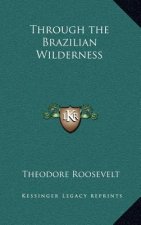 Through the Brazilian Wilderness