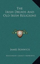 The Irish Druids and Old Irish Religions