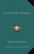A Study of Spinoza