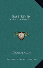 East River: A Novel of New York