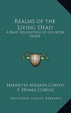 Realms of the Living Dead: A Brief Description of Life After Death