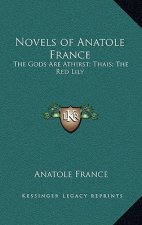 Novels of Anatole France: The Gods Are Athirst; Thais; The Red Lily