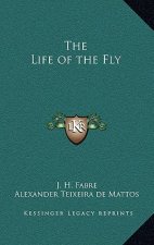 The Life of the Fly