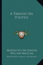 A Treatise on Politics