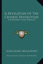 A Revelation of the Chinese Revolution: A Retrospect and Forecast