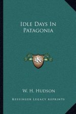 Idle Days in Patagonia