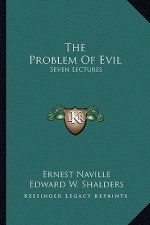 The Problem of Evil: Seven Lectures