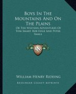 Boys in the Mountains and on the Plains: Or the Western Adventures of Tom Smart, Bob Edge and Peter Small