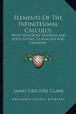 Elements of the Infinitesimal Calculus: With Numerous Examples and Applications to Analysis and Geometry