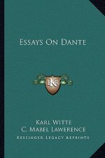 Essays on Dante